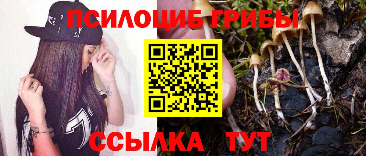 Галлюциногенные грибы Cubensis  Галлюциногенные грибы ЛСД  Вход с VPN  Семилуки 