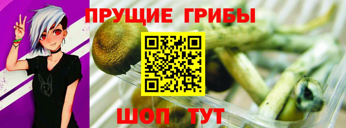 Галлюциногенные грибы MAGIC MUSHROOMS Семилуки
